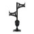 Skull Hooker Trophy Tree Shoulder Pedestal Mount Black