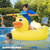 Pool Float Airhead Inflatable Pool Float | Punk Duck