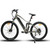 Eunorau UHVO 350 watt 7 speed Full Suspension E-bike Gray Eunorau UHVO 350 watt 7 speed Full Suspension E-bike Gray