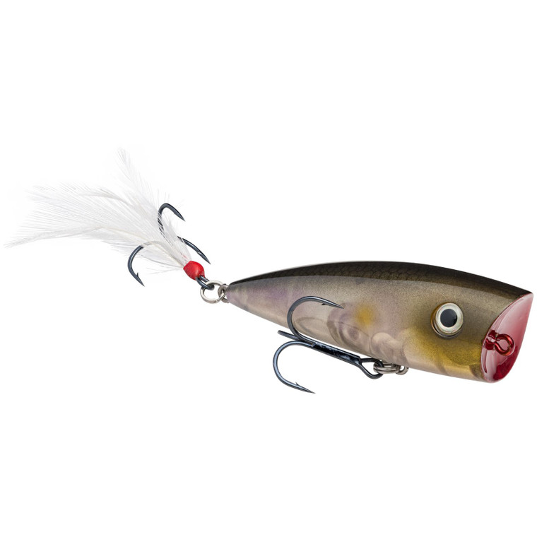 Strike King Kvd Splash Clearwater Minnow