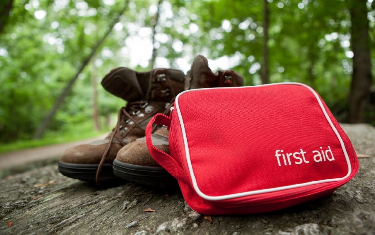 Survival & First Aid