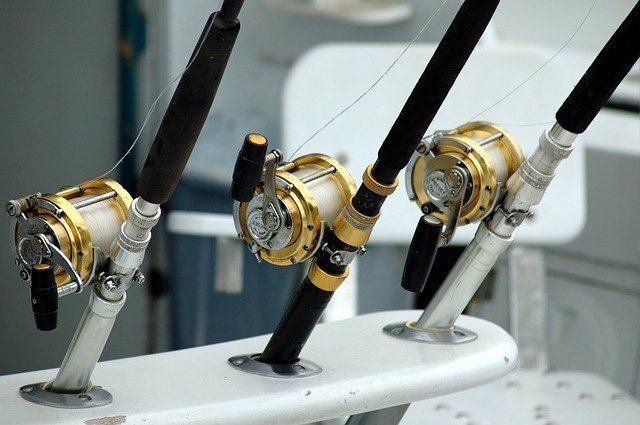 Rods & Reels