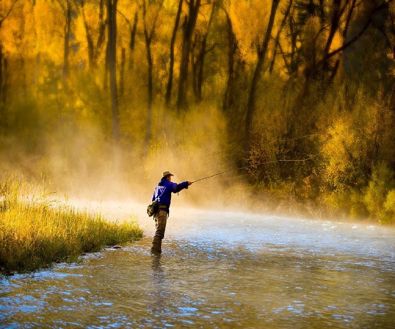 Fly Fishing