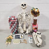 681 Units of Christmas & Seasonal - MSRP $6,505 - Returns (Lot # 669120)