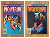 577 units of Comic Books (Wolverine #1, Infinity Gauntlet #1, Ninja Turtles & More) - MSRP $5,340 - Like New (Lot # 733401)