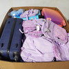 101 units of Luggages & Bags - MSRP $3,040 - Returns (Lot # 943822)