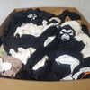 650 units of Clothing & Accessories - MSRP $9,092 - Returns (Lot # 973311)