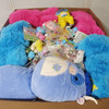 593 units of Holidays & Party - MSRP $3,752 - Returns (Lot # 981902)