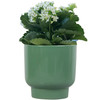 240 units of Mainstays 6inch Petra Green Planters - MSRP $2,155 - Brand New (Lot # 995905)