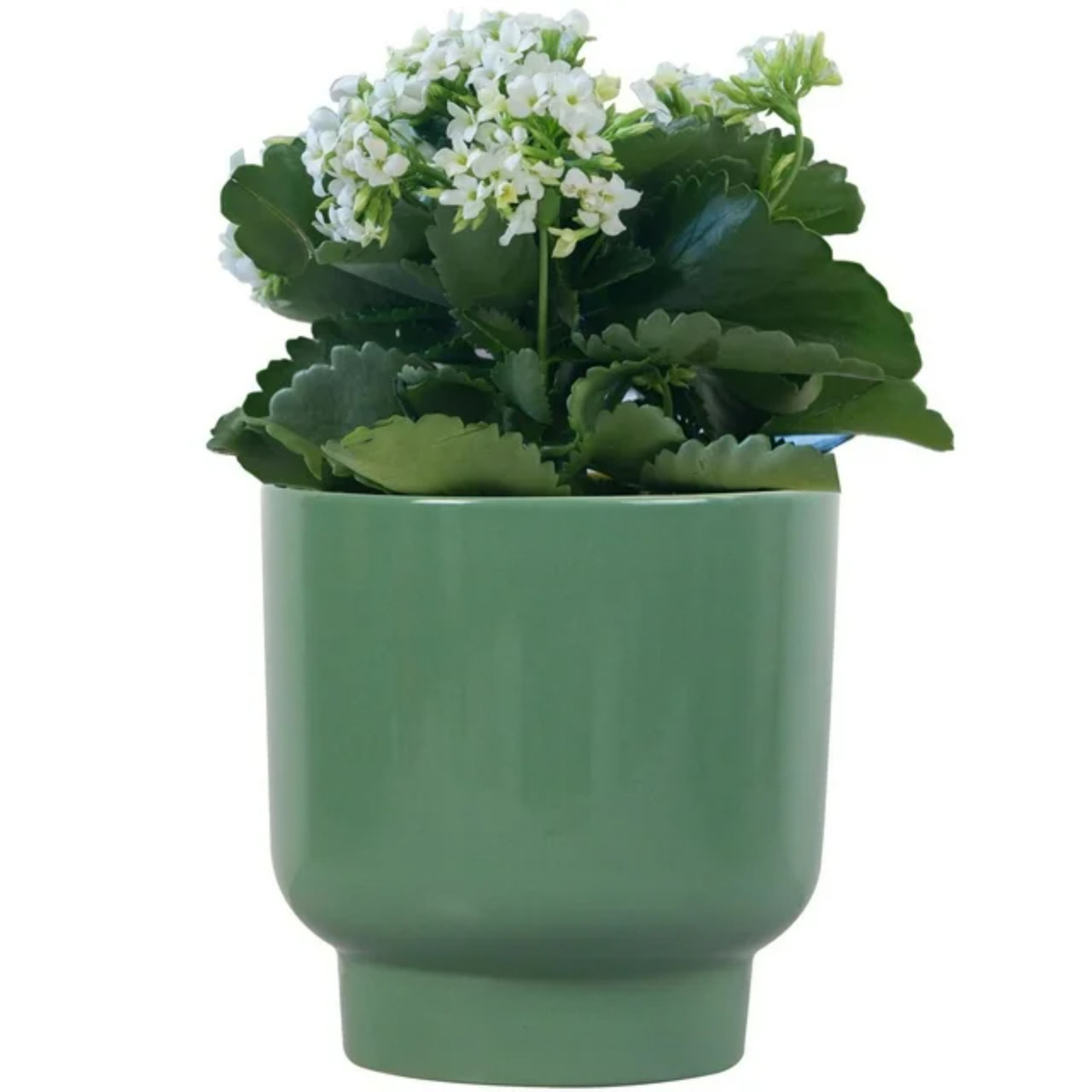 240 units of Mainstays 6inch Petra Green Planters - MSRP $2,155 - Brand New (Lot # 995905)