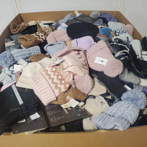 1231 units of Winter Accessories - MSRP $13,213 - Returns (Lot # 973716)