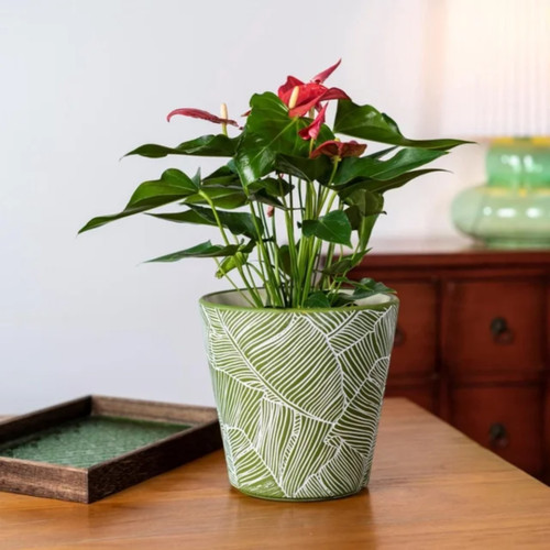 168 Units of Hometrends 8" Ceramic Round Leaf Planters (Pot-Green) - MSRP $2,685 - Brand New (Lot # BN988001)