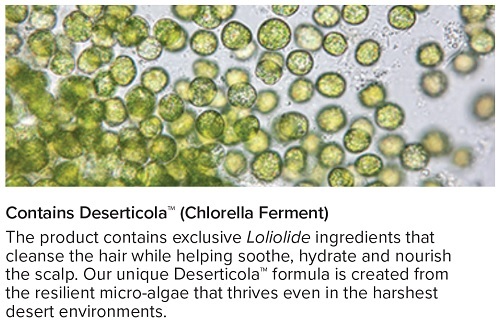 Botalab Deserticola Shampoo Ingredients