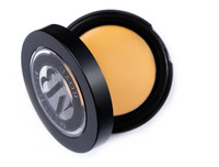 Picture Perfect Concealer - PC6 (Rich Tan to Golden Skintones)