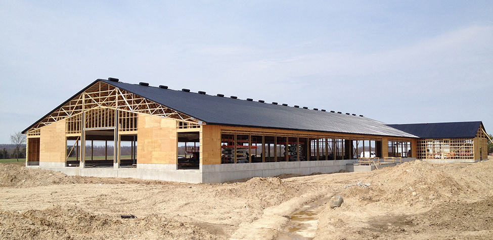 Building Materials 