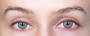 dubai gray colored contact lense