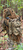 Divarty Bag Kit