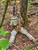 Divarty Bag Kit
