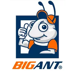 Big Ant