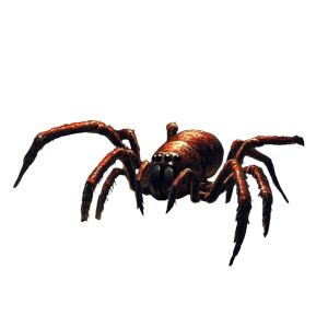Giant Tomb Spider Vinyl Car Decal Sticker – Waterproof & UV-Resistant 8"