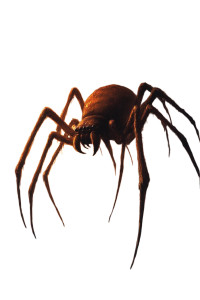 Giant Spider Monster V8 Vinyl Car Decal Sticker – Waterproof & UV-Resistant 8"