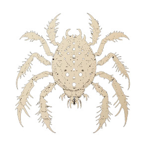 Microscopic Mite Silhouette Vinyl Car Decal Sticker – Waterproof & UV-Resistant 8"