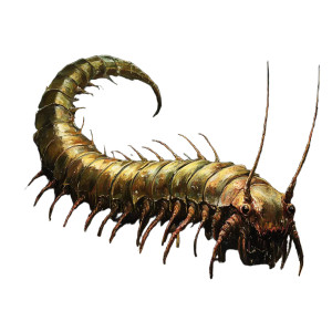 Creedy Centipede Art Vinyl Car Decal Sticker – Waterproof & UV-Resistant 8"