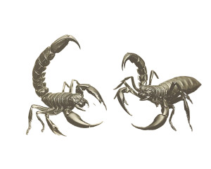 Two Scorpions V2 Vinyl Car Decal Sticker – Waterproof & UV-Resistant 8"