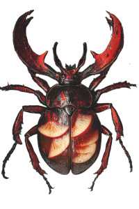 Iridescent Stag Beetle Vinyl Car Decal Sticker – Waterproof & UV-Resistant 8"