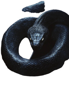 Sinister Serpent Coil Vinyl Car Decal Sticker – Waterproof & UV-Resistant 8"