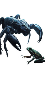 Scorpion Vs Frog Vinyl Car Decal Sticker – Waterproof & UV-Resistant 8"