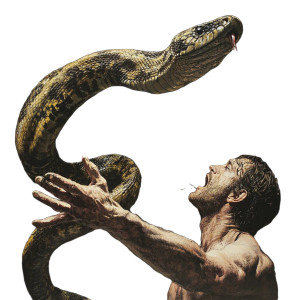 Attacking Snake Vinyl Car Decal Sticker – Waterproof & UV-Resistant 8" Attacking Snake Vinyl Car Decal Sticker – Waterproof & UV-Resistant 8"