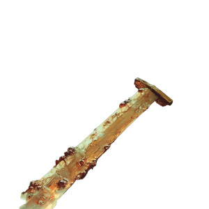 Rotting Food Creature Vinyl Car Decal Sticker – Waterproof & UV-Resistant 8"