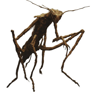 Evil Djinn Insect Vinyl Car Decal Sticker – Waterproof & UV-Resistant 8"