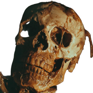 Melting Skull Horror Vinyl Car Decal Sticker – Waterproof & UV-Resistant 8"