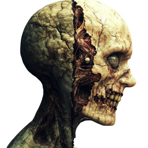 Horror Half-Face Vinyl Car Decal Sticker – Waterproof & UV-Resistant 8"