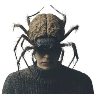 Human-Headed Spider Vinyl Car Decal Sticker – Waterproof & UV-Resistant 8"