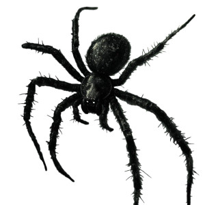 Goth Spider Vinyl Car Decal Sticker – Waterproof & UV-Resistant 8"