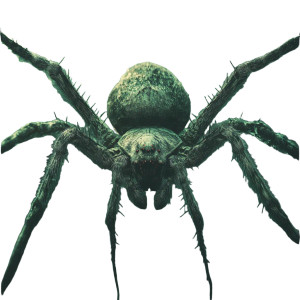 Winged Giant Spider Vinyl Car Decal Sticker – Waterproof & UV-Resistant 8"