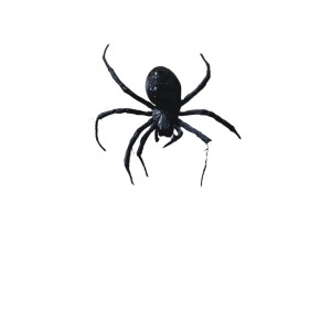 Skull With Spider Vinyl Car Decal Sticker – Waterproof & UV-Resistant 8" Skull With Spider Vinyl Car Decal Sticker – Waterproof & UV-Resistant 8"