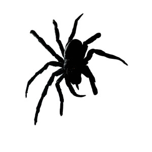 Scary Arachne Clocktower Vinyl Car Decal Sticker – Waterproof & UV-Resistant 8"