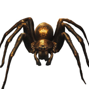 3D Spider Relief Vinyl Car Decal Sticker – Waterproof & UV-Resistant 8"