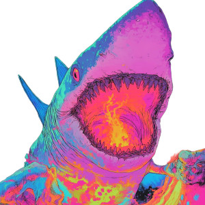 Shark Wizard Vinyl Car Decal Sticker – Waterproof & UV-Resistant 8"