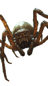 Giant Human-Faced Spider Vinyl Car Decal Sticker – Waterproof & UV-Resistant 8" Giant Human-Faced Spider Vinyl Car Decal Sticker – Waterproof & UV-Resistant 8"