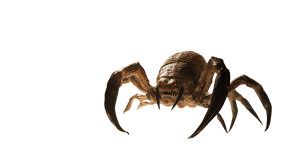 Sand Creature Hybrid Vinyl Car Decal Sticker – Waterproof & UV-Resistant 8"