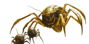 Golden Armored Insect Vinyl Car Decal Sticker – Waterproof & UV-Resistant 8"