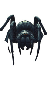 Giant Spider Capture Vinyl Car Decal Sticker – Waterproof & UV-Resistant 8"