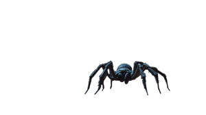 Giant Spider Nest Vinyl Car Decal Sticker – Waterproof & UV-Resistant 8"