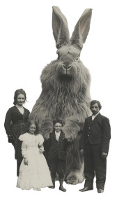 Demon Rabbit Portrait Vinyl Car Decal Sticker – Waterproof & UV-Resistant 8"