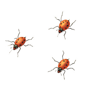 Cartoon Bugs Chase Vinyl Car Decal Sticker – Waterproof & UV-Resistant 8"